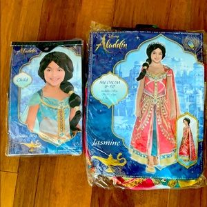 Princess Jasmine Aladdin  costume and wig